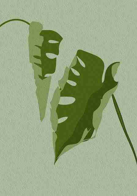 天天影院久久影视深度解析：剪辑秘籍终极剖析